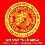 Giải Bóng đá dòng họ Vũ - Võ Việt Nam lần thứ 5 - năm 2017: Ngày hội tranh tài
